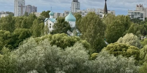 1-комн квартира Московское шоссе, 3к5
