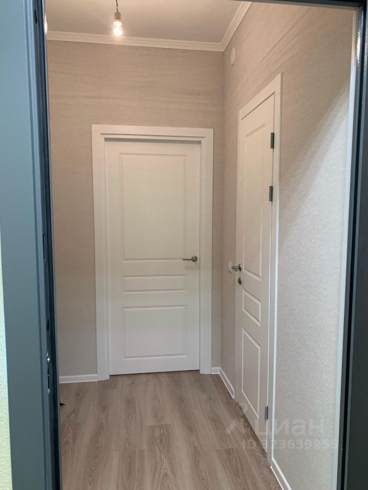 Аренда студии пос. Шушары, улица Нины Петровой, 7к1