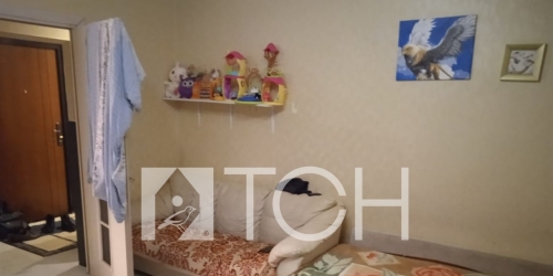 1-комн квартира Медвежьи Озера, Юбилейная ул, 10