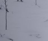 Продать Земельные участки, земля д. Жабино, улица Генерала Румянцева   