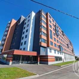 Продажа студии Романовка пос., д. 33 Продажа студии Романовка пос., д. 33