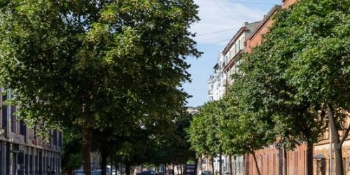 5-комн квартира 16-я Васильевского острова линия, 25