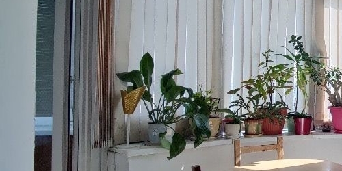 1-комн квартира улица Москворечье, 31к1