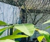 Продать Дачи, коттеджи, загородные дома Заклинское СНТ, улица 1-я Центральная   