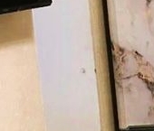 Сдать в аренду Квартиры вторичка Балашиха, бульвар Горенский, 1   