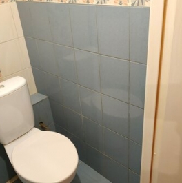 Продажа 1-комн квартиры на вторичном рынке Космонавтов пр-кт,  д. 65,  к. 11