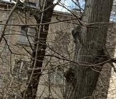 Продать Квартиры вторичка Химки, улица Розы Люксембург, 2   