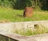 Продать Дачи, коттеджи, загородные дома Мшинская садоводческий массив, Якорь СНТ  214 