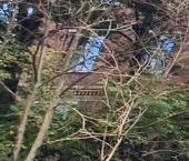 Продать Комнаты в квартирах Энергетическая улица, 20   