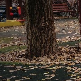 Аренда 2-комн квартиры на вторичном рынке Новопесчаная улица, 23К7 Аренда 2-комн квартиры на вторичном рынке Новопесчаная улица, 23К7