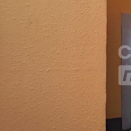 Студия Тосно г., шоссе Барыбина, 10А