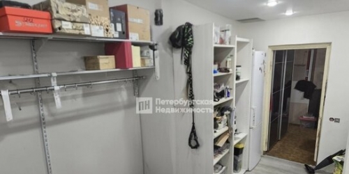 3-комн квартира Приморское шоссе,  д. 291