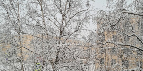 2-комн квартира ул Турбинная,  д. 37