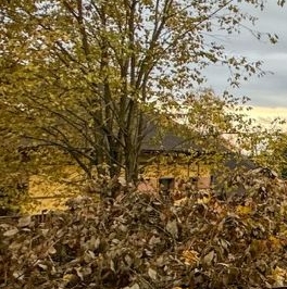 Продажа земли Красное Село, Дудергоф тер., улица Новая,  д. 11