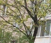 Продать Квартиры вторичка Сергиев Посад, Вознесенская улица, 82   