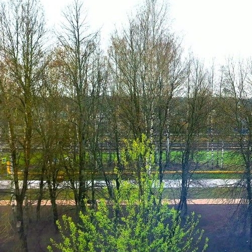 2-комн квартира Дубровка пгт, улица Томилина, 3