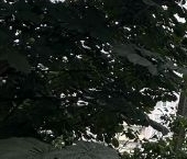 Продать Квартиры вторичка Красногорск, бульвар Павшинский, 6   