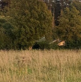 Продажа земли пос. Петровское, улица Центральная