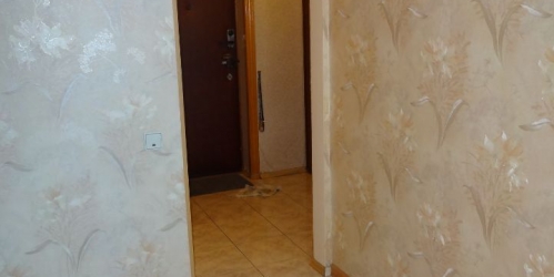 1-комн квартира Тихорецкий б-р,  д. 2,  к. 1