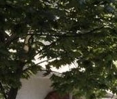 Продать Квартиры вторичка Миргородская улица, 1   