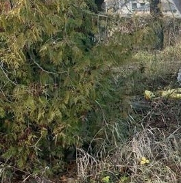 Продажа земли Петровское д,  д. 3