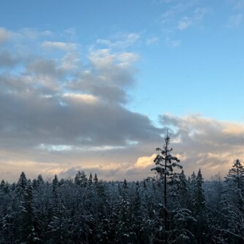 2-комн квартира Изумрудные холмы, Православная улица