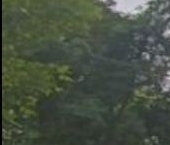 Продать Квартиры вторичка д. Пуршево, улица Новослободская, 16   