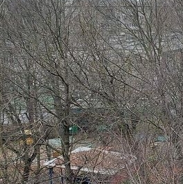 Продажа 1-комн квартиры на вторичном рынке проспект Народного ополчения, 233