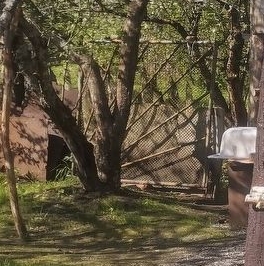 Продажа дома с. Паша, улица Вокзальная, 20