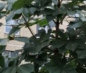 Продать Квартиры вторичка Пироговский мкр, улица Советская, 2А   