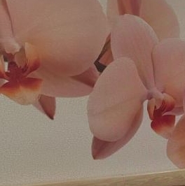 Продажа 2-комн квартиры на вторичном рынке Волгоградский проспект, 84К1