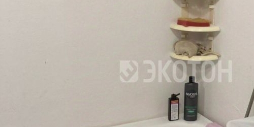 1-комн квартира Северный проспект, 93