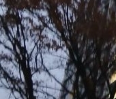 Сдать в аренду Квартиры вторичка Профсоюзная улица, 33   