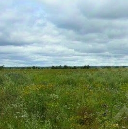 Продажа земли Валья кп, 31 Продажа земли Валья кп, 31