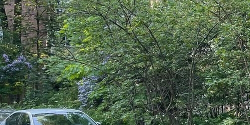 2-комн квартира проспект Раевского, 3