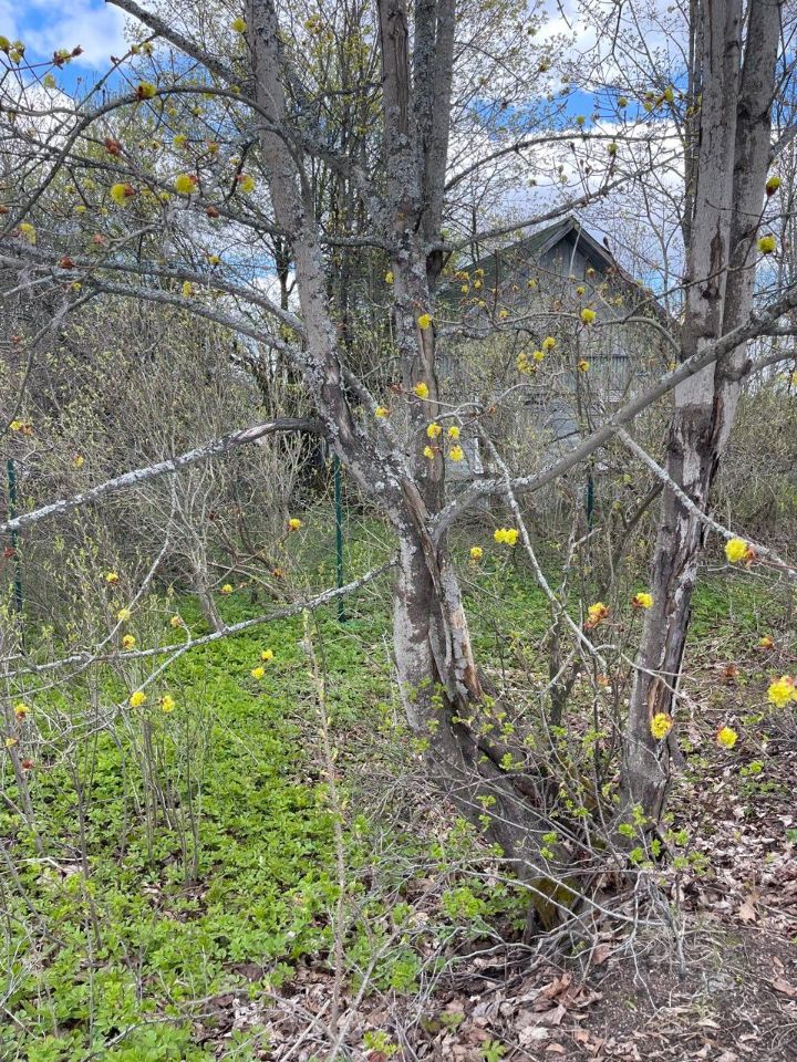 Продажа дома пос. Чулково, улица Центральная