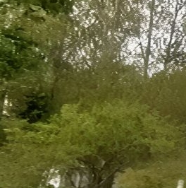 Продажа дома д. Матокса, улица Приречная, 3