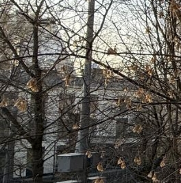 Аренда 1-комн квартиры на вторичном рынке улица Винокурова, 15К1 Аренда 1-комн квартиры на вторичном рынке улица Винокурова, 15К1