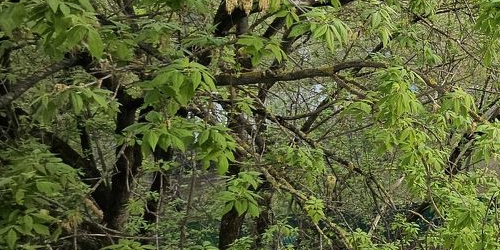 1-комн квартира улица Сталеваров, 8/22К1