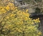 Продать Квартиры вторичка Малахитовая улица, 14   