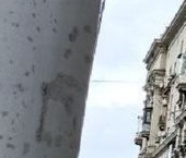 Продать Квартиры вторичка Кутузовский проспект, 35   