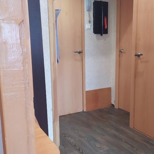 1-комн квартира Кондратьевский проспект, 79