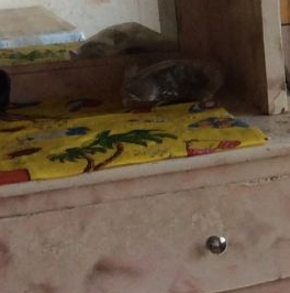 Продажа 1-комн квартиры на вторичном рынке Волоколамск, Рижское шоссе, 17