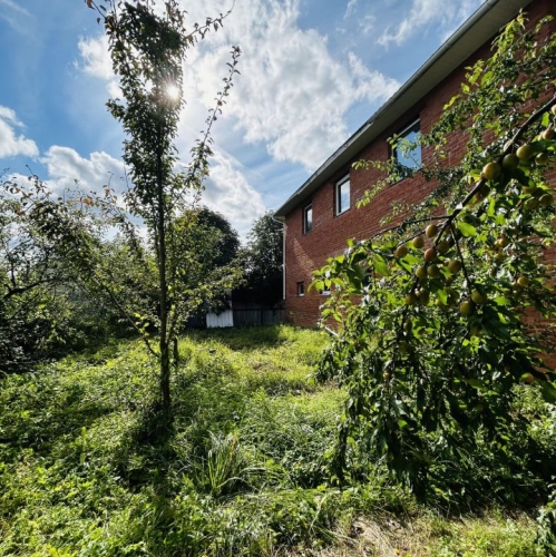 Коттедж/дом Семхоз, улица Чернышевского,  д. 1