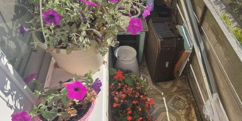 1-комн квартира Кронштадт, улица Всеволода Вишневского, 20/20