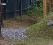 Продать Дачи, коттеджи, загородные дома Московского района Орехово-Северное дачный потребительский кооператив, проезд 6-й Парковый, 22А   