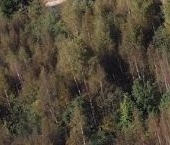 Продать Земельные участки, земля Вартемяги Вилладж кп, д. Вартемяги   