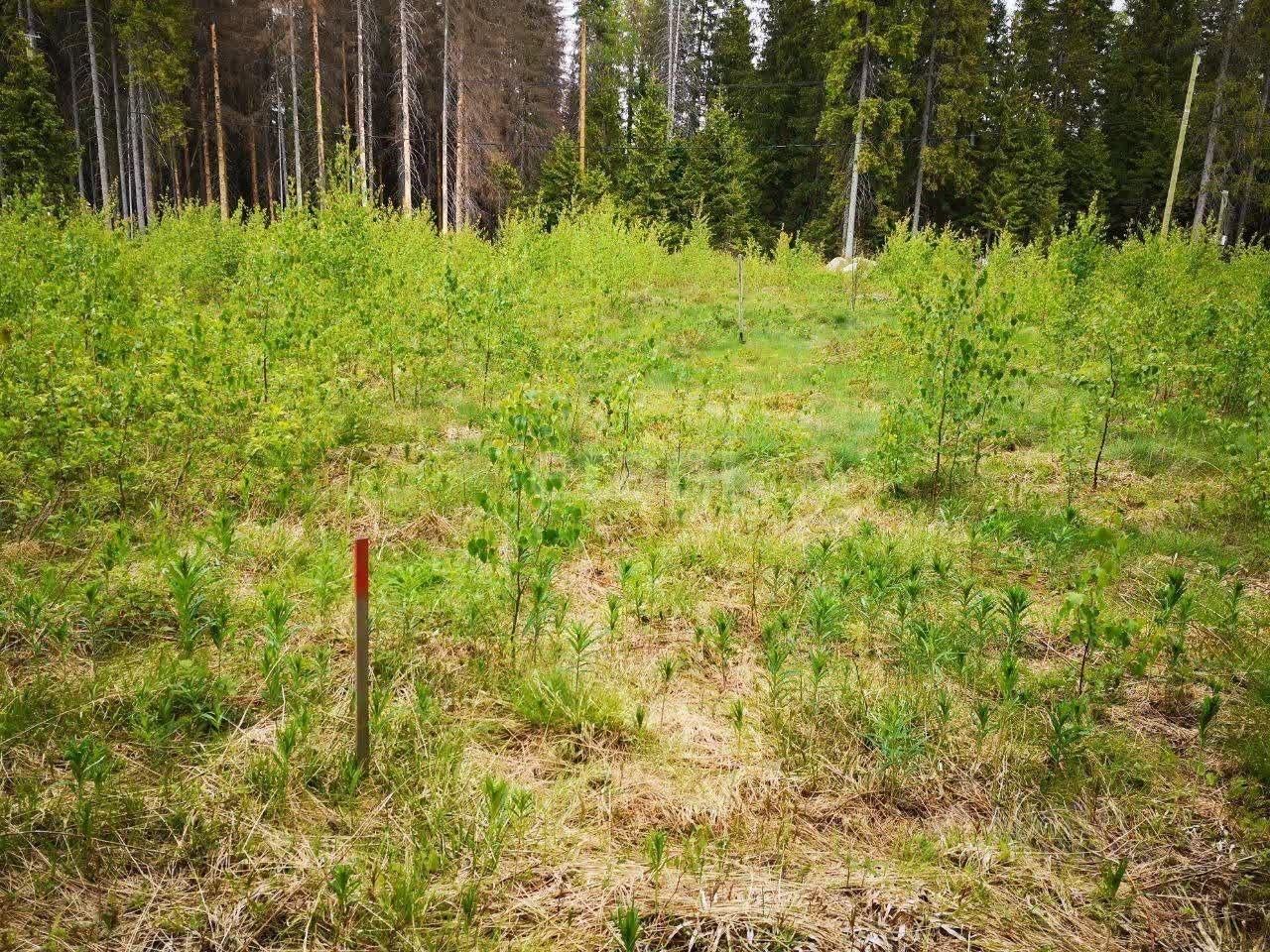 Продажа земли Полянский массив местность, проезд 3-й Камышовый