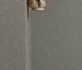 Продать Квартиры вторичка Ломоносов, улица Ломоносова, 2   