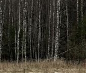 Продать Земельные участки, земля Селезневская тер., проезд Придорожный   